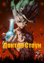 Доктор Стоун
 (2019)